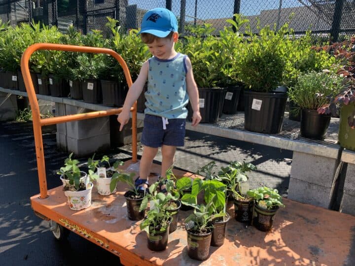 How to keep a hat on a toddler Celebrating with kids