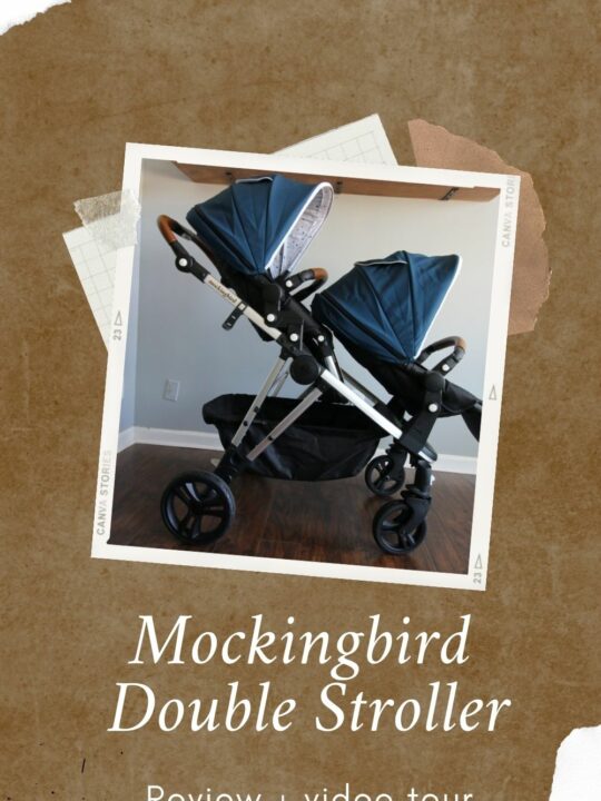 Mockingbird Stroller Review Celebrating with kids