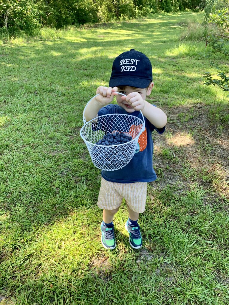 toddler with basket of freshly picked blueberries