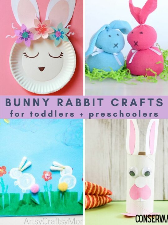 The best rabbit themed books for preschoolers - Celebrating with kids