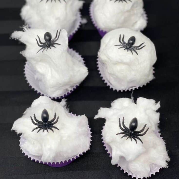 Image for Spider Web Cotton Candy - Spider Cupcakes
