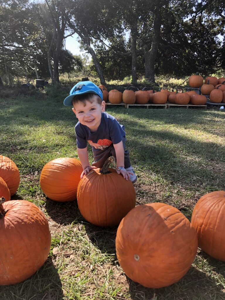 toddler pumpkin picking