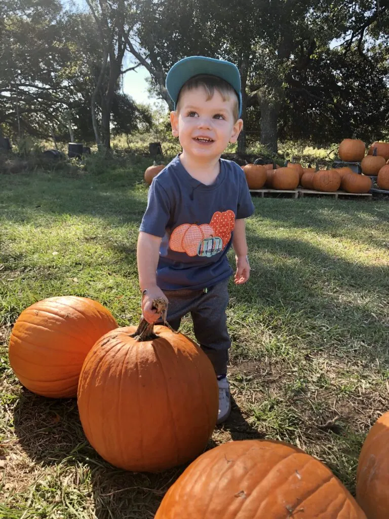 toddler pumpkin patch activity ideas