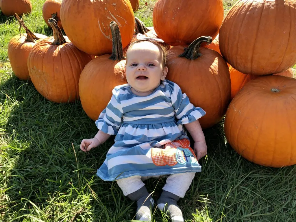 baby pumpkin picking