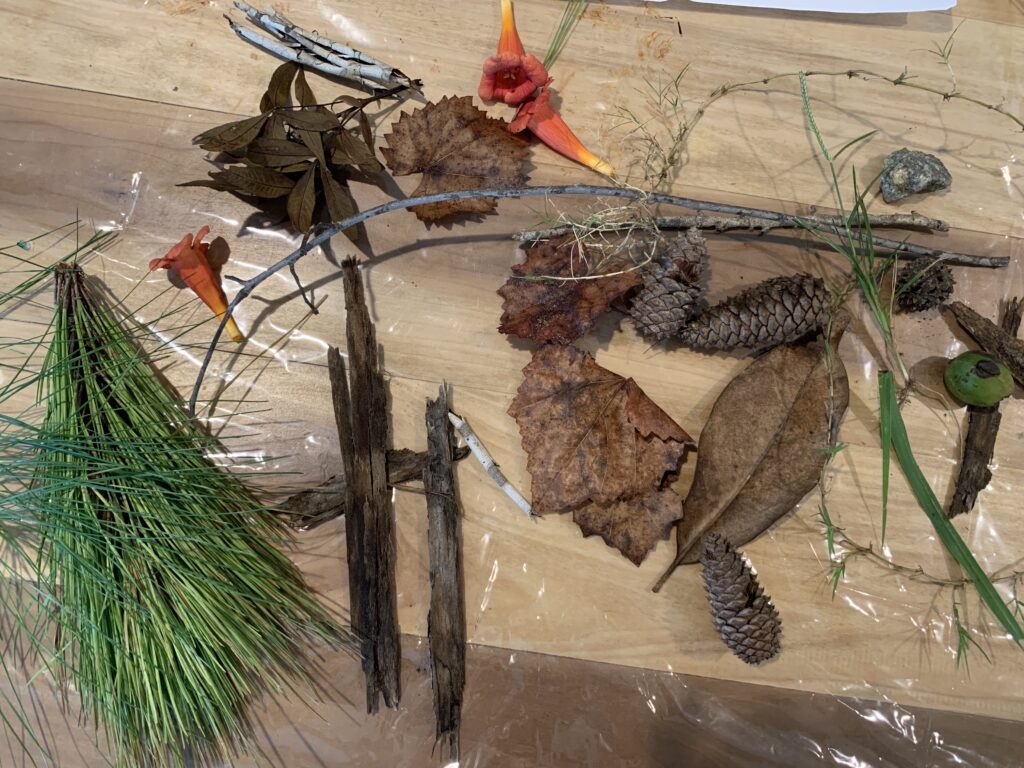 nature items collected to make art toddlers