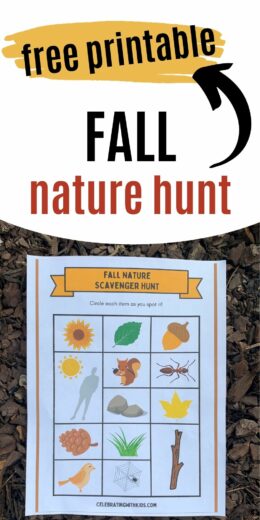 Fall Scavenger Hunt for Kids (Free printable!) - Celebrating with kids