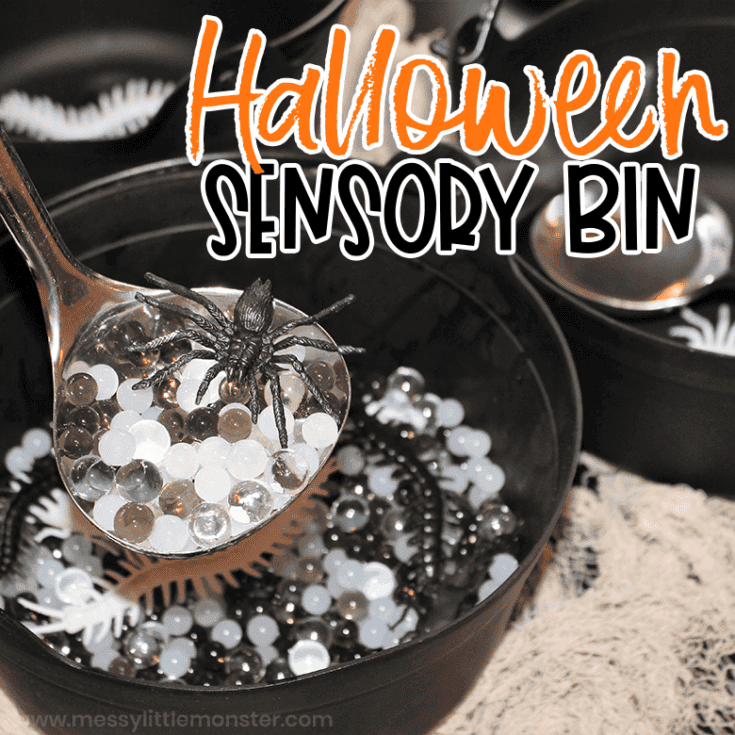 Image for Halloween Sensory Bin