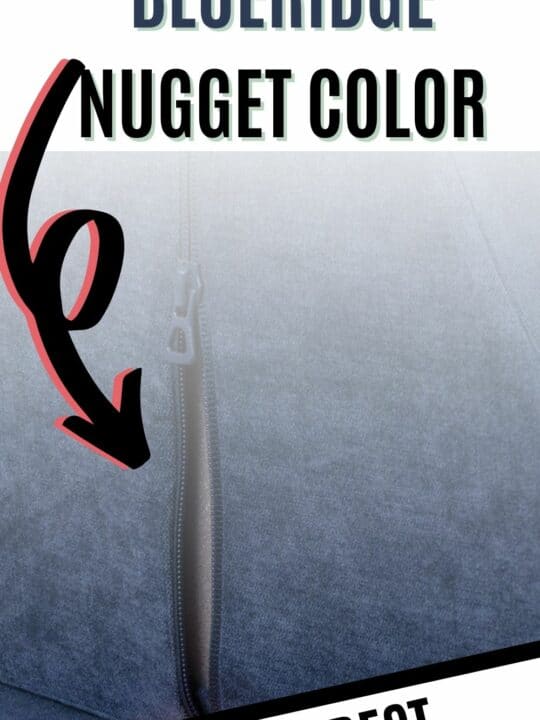 All about the Harbor Nugget Comfort Color Celebrating with kids