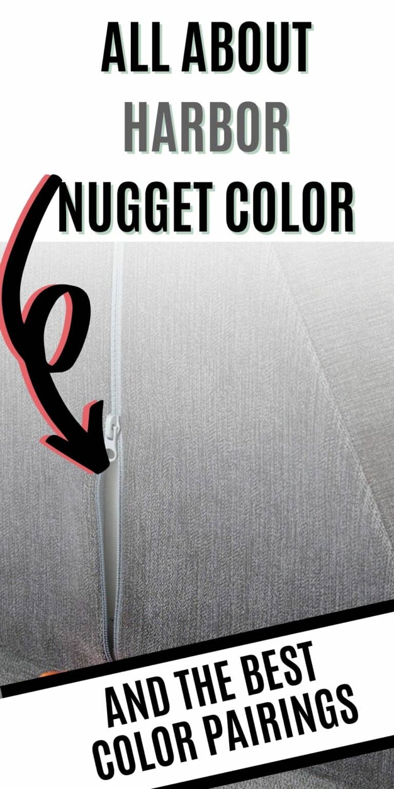 All about the Harbor Nugget Comfort Color Celebrating with kids