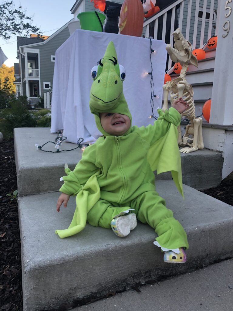 Tiny Pteranodon Dinosaur Train Halloween Costume