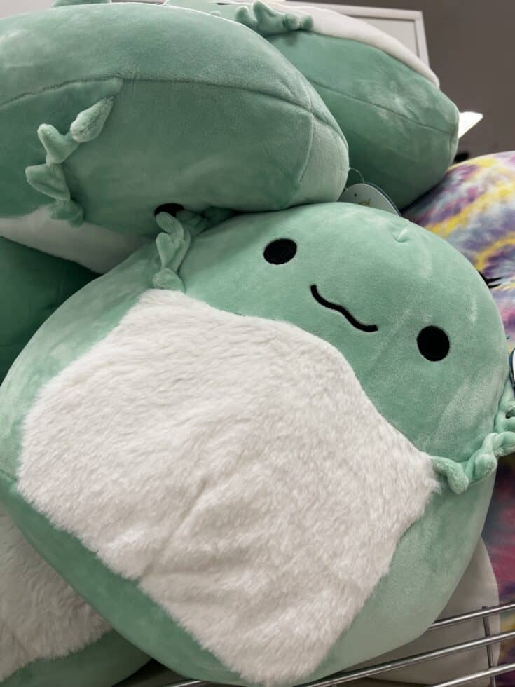 Are squishmallows fidgets? Celebrating with kids