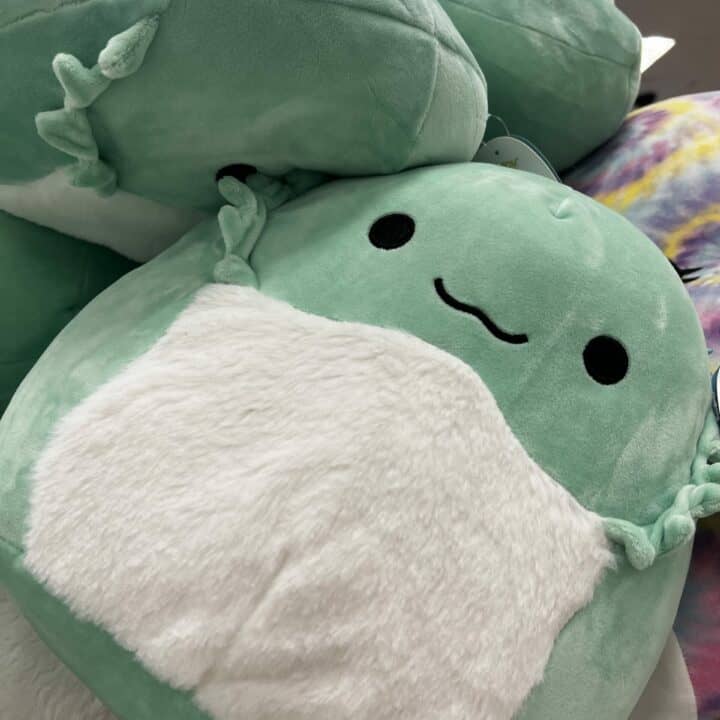 squishmallow pile