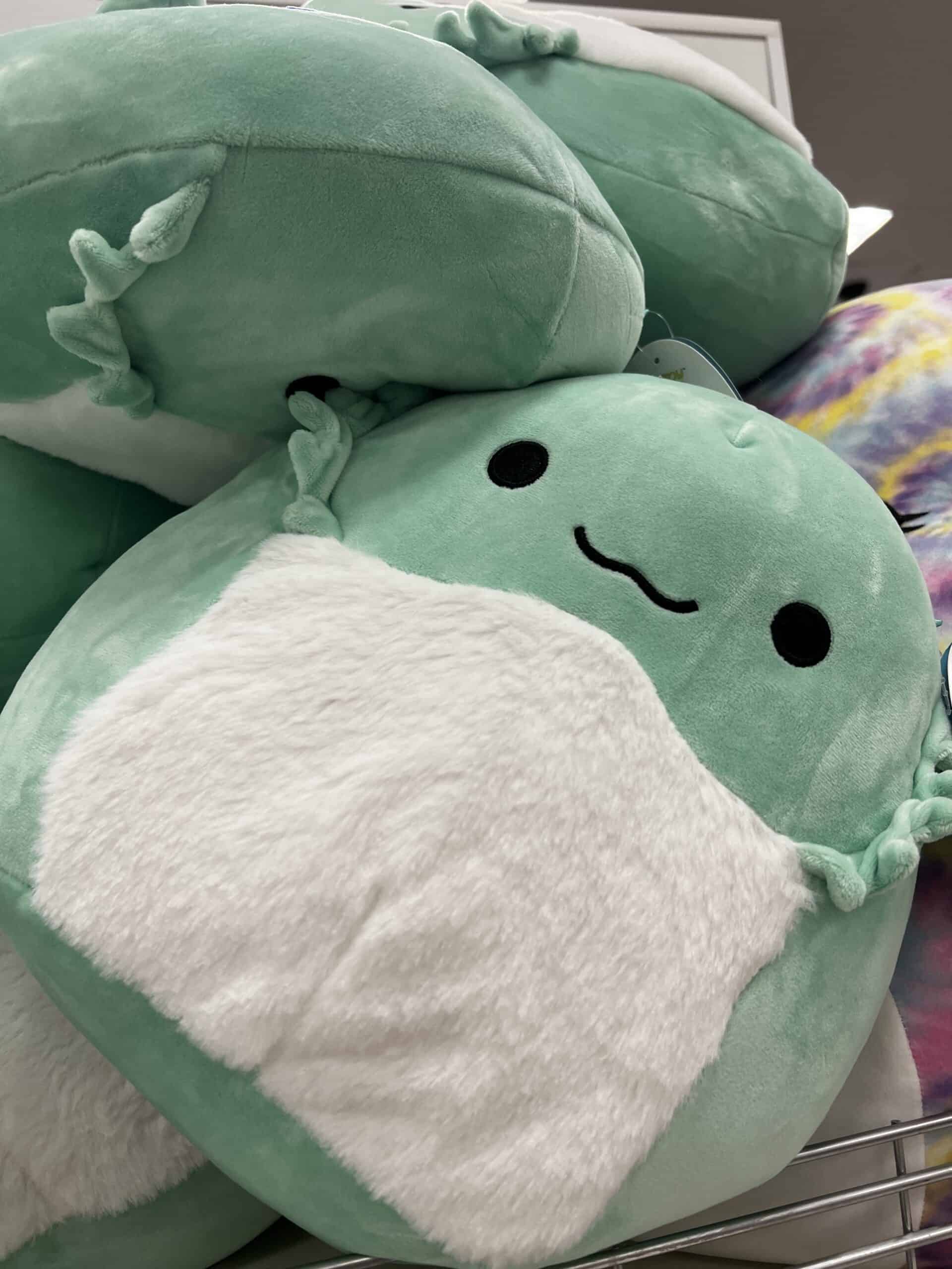 Where to get giant squishmallows Celebrating with kids