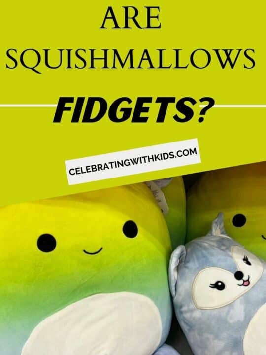 Are squishmallows safe for babies? Celebrating with kids