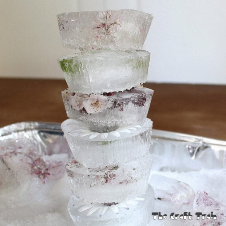 Image for Flower Ice Cube Sensory Play