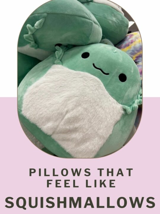 Are squishmallows fidgets? Celebrating with kids