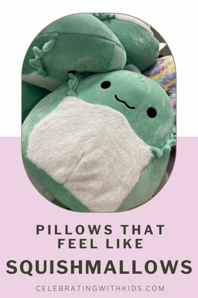 Pillows that feel like squishmallows - Celebrating with kids