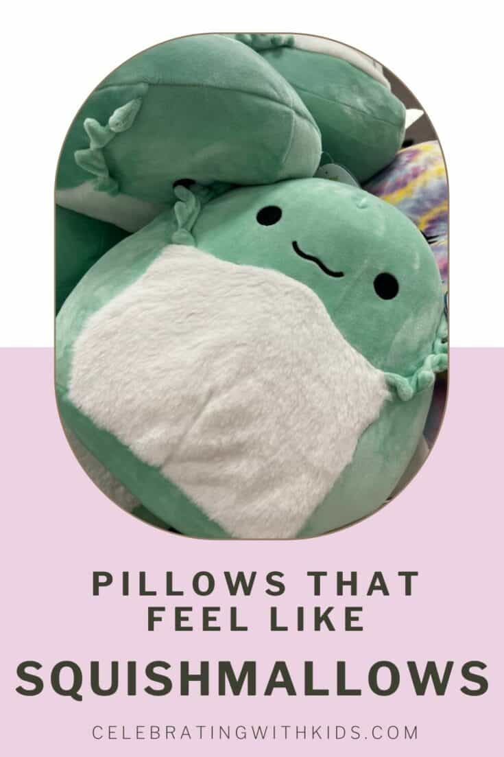 Pillows that feel like squishmallows Celebrating with kids