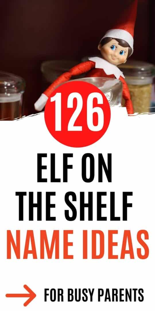 The 126 best elf on the shelf names Celebrating with kids