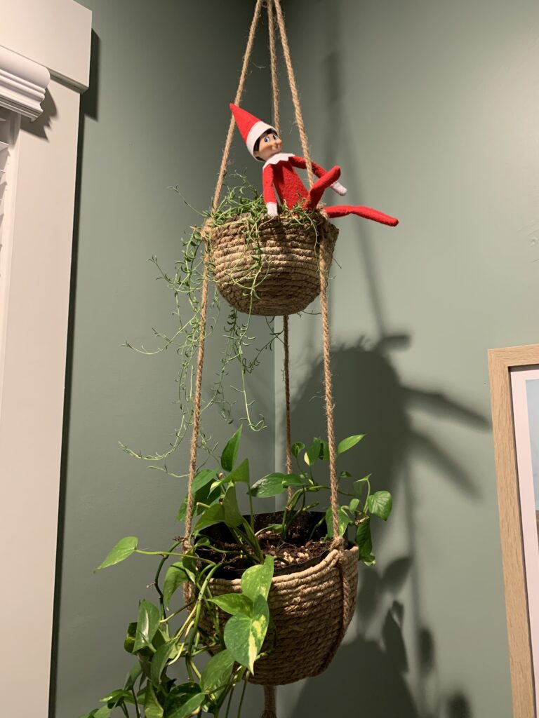 elf on a shelf in a hanging plant basket