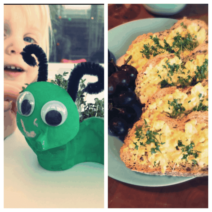 Image for Cress caterpillar – how to grow cress