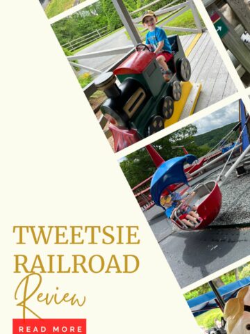 tweetsie railroad review