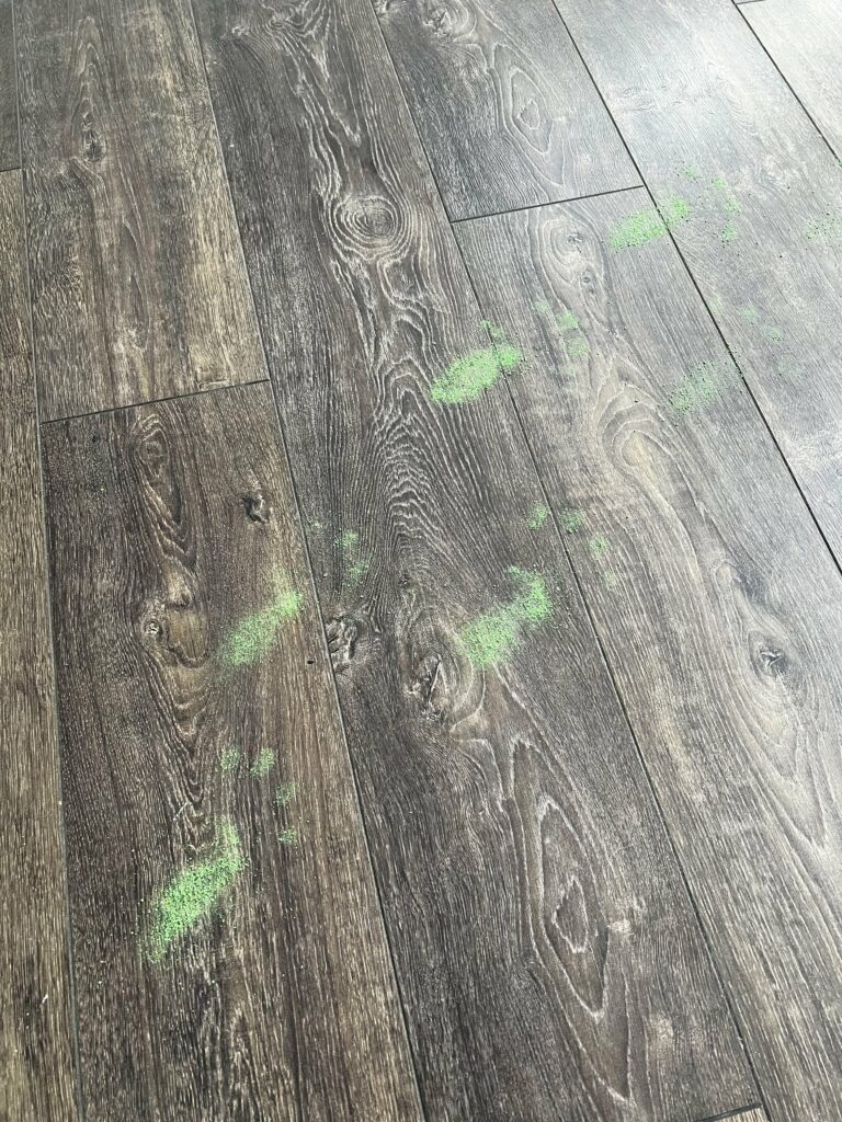trail of leprechaun footprints on the ground