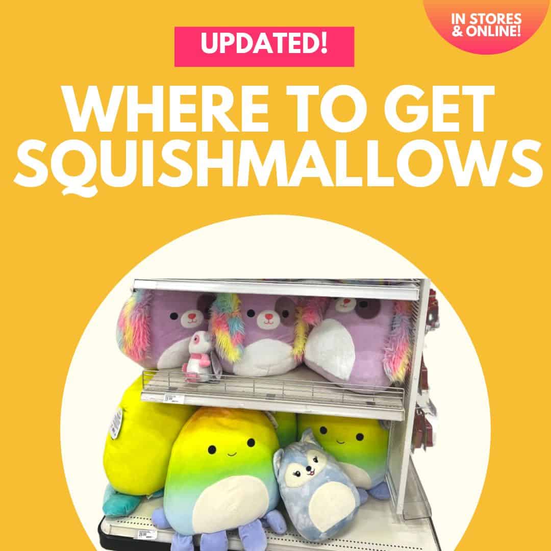 Where To Get Squishmallows All The Stores Near You Celebrating 