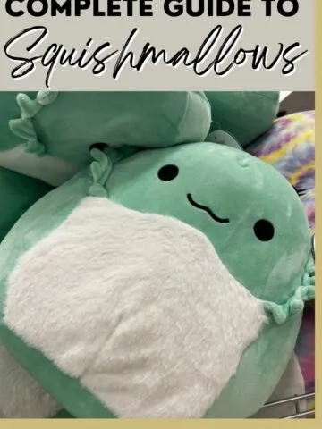 complete guide to squishmallows