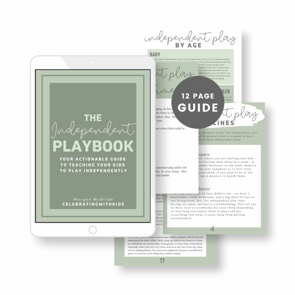 independent playbook ebook mockup