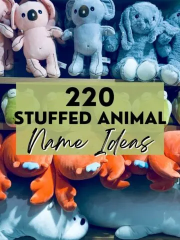 stuffed animal name ideas