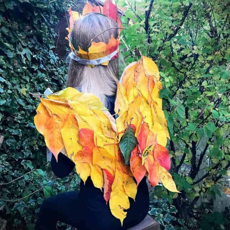 Image for Forest Fairy