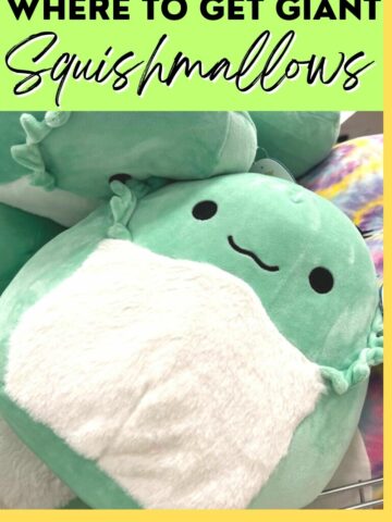 where to get giant squishmallows