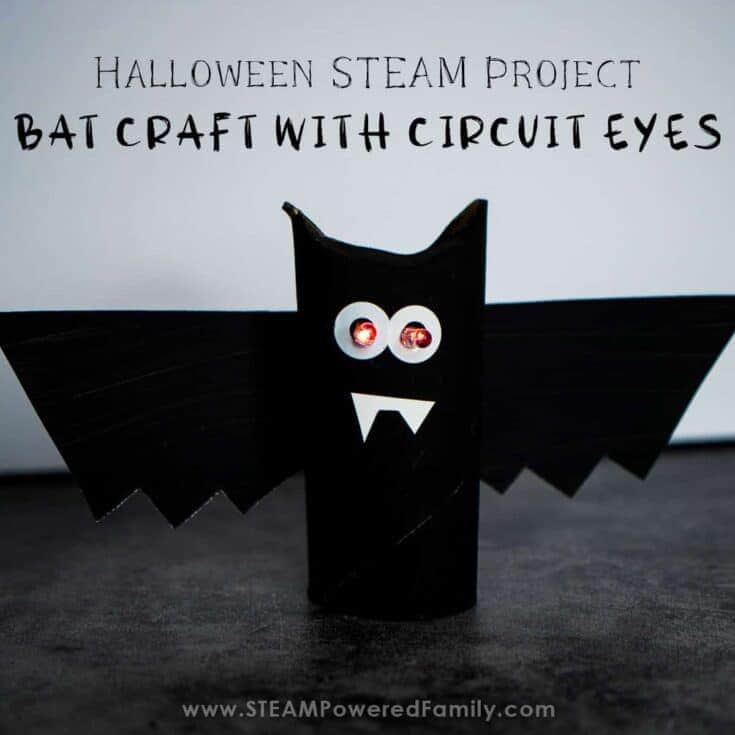 Image for Bat Craft With STEM Circuit