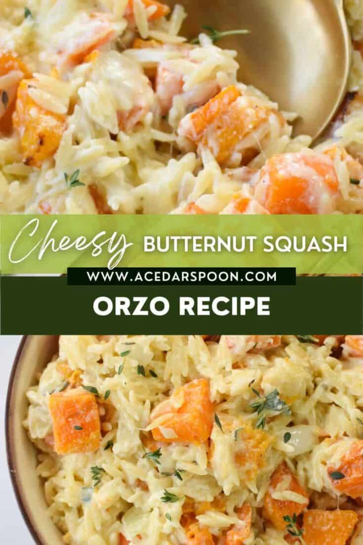 Image for Cheesy Butternut Squash Orzo