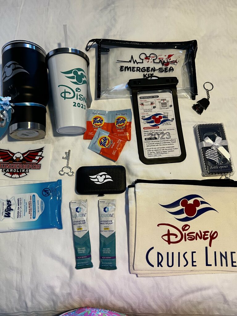 disney cruise gift items