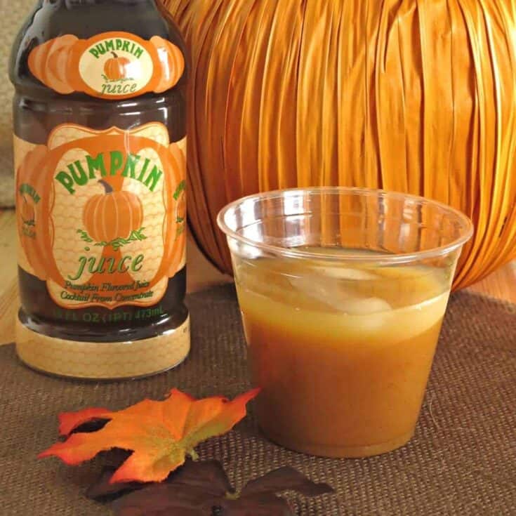 Image for Pumpkin Juice Recipe - Harry Potter Style