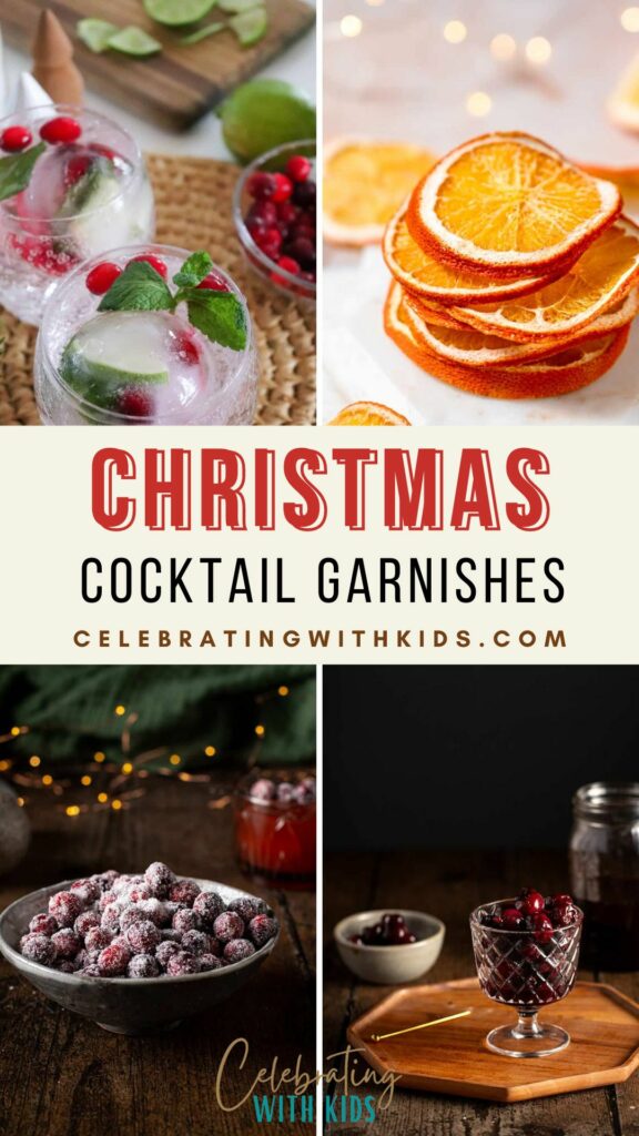 christmas cocktail garnishes ideas.