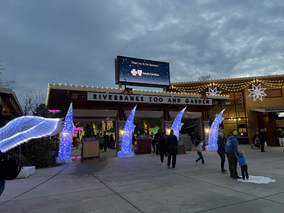 Is Wild Lights at Riverbanks Zoo worth it? Celebrating with kids