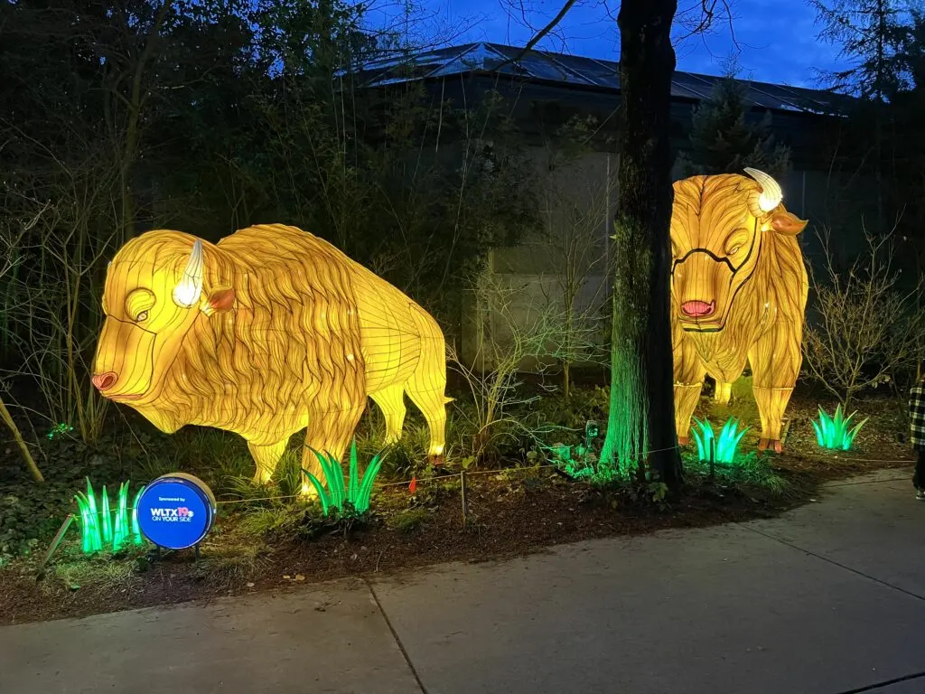 Is Wild Lights at Riverbanks Zoo worth it - Celebrating with Kids