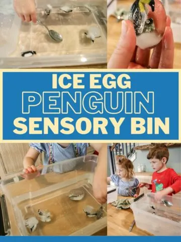 Penguin Ice Sensory Play Activity