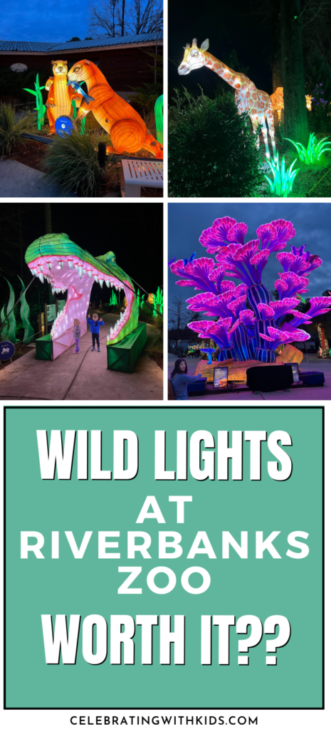 Is Wild Lights at Riverbanks Zoo worth it - Celebrating with Kids