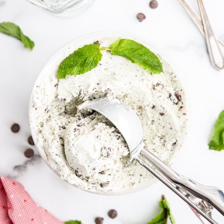 Image for Keto Mint Chocolate Chip Ice Cream