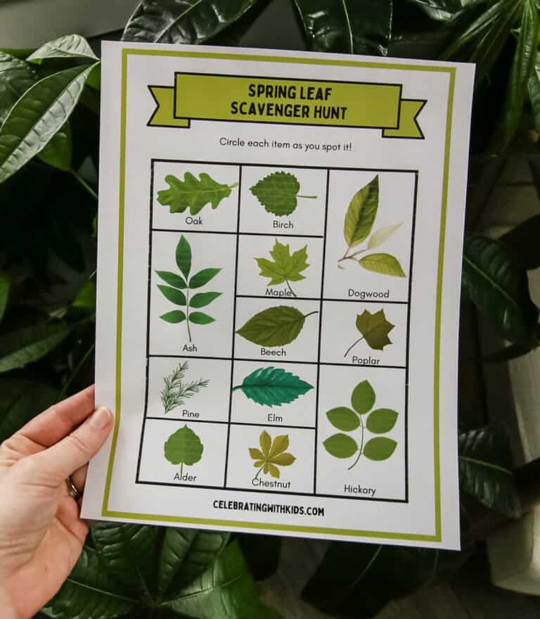 Leaf scavenger hunt - free printable! - Celebrating with kids