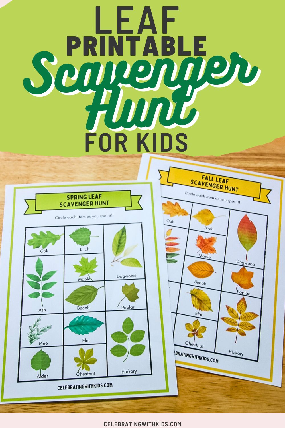 Leaf Scavenger Hunt