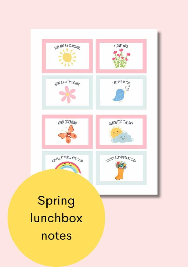 spring lunchbox notes