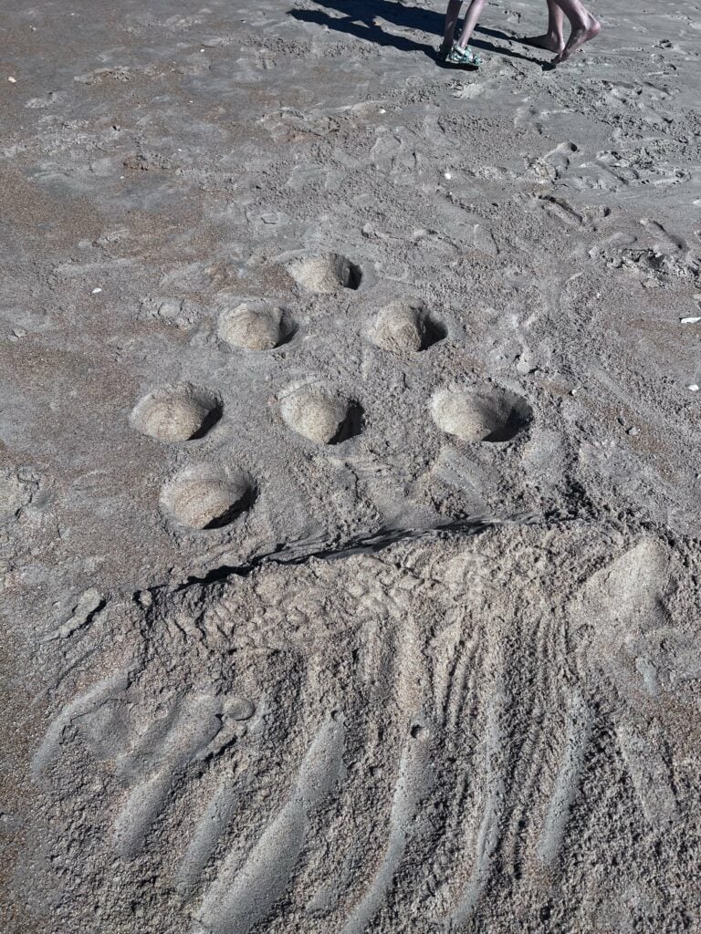 beach bowling game - no equipment needed