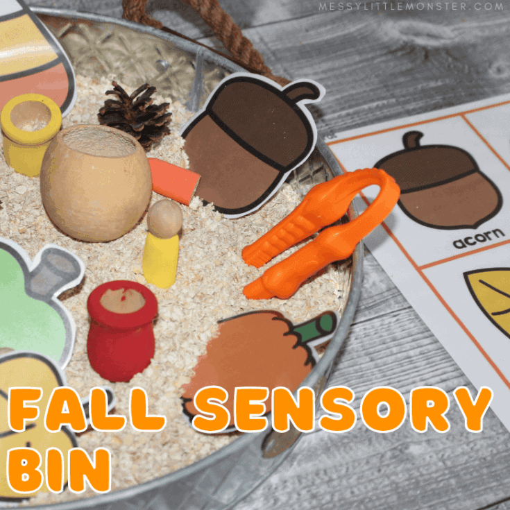 Image for Fall sensory bin