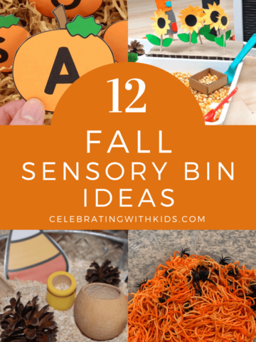 fall sensory bin ideas