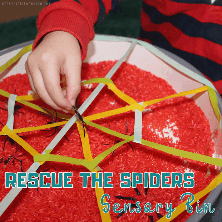Image for Spider Sensory Bin